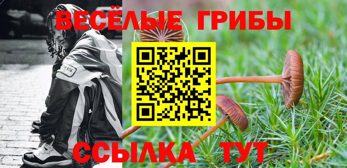 Кохма  закладки  Вход с VPN  Галлюциногенные грибы GOLDEN TEACHER 