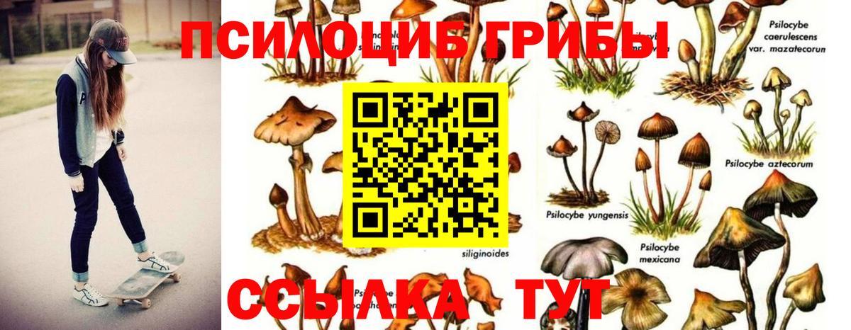 Псилоцибиновые грибы мухоморы Кохма